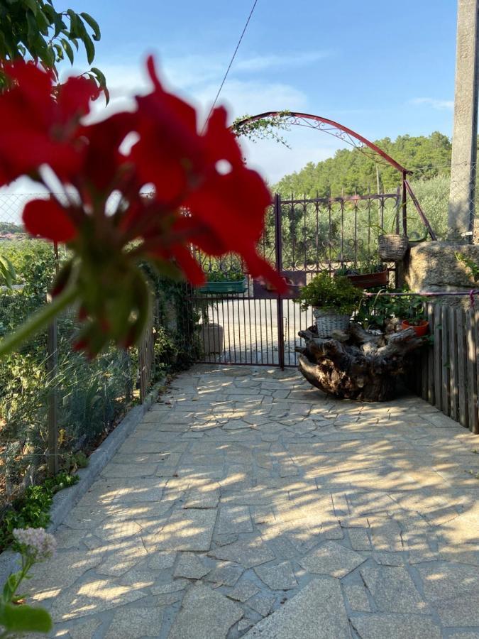 Casa Da Aldeia Da Avo Bed & Breakfast Valpacos Bagian luar foto