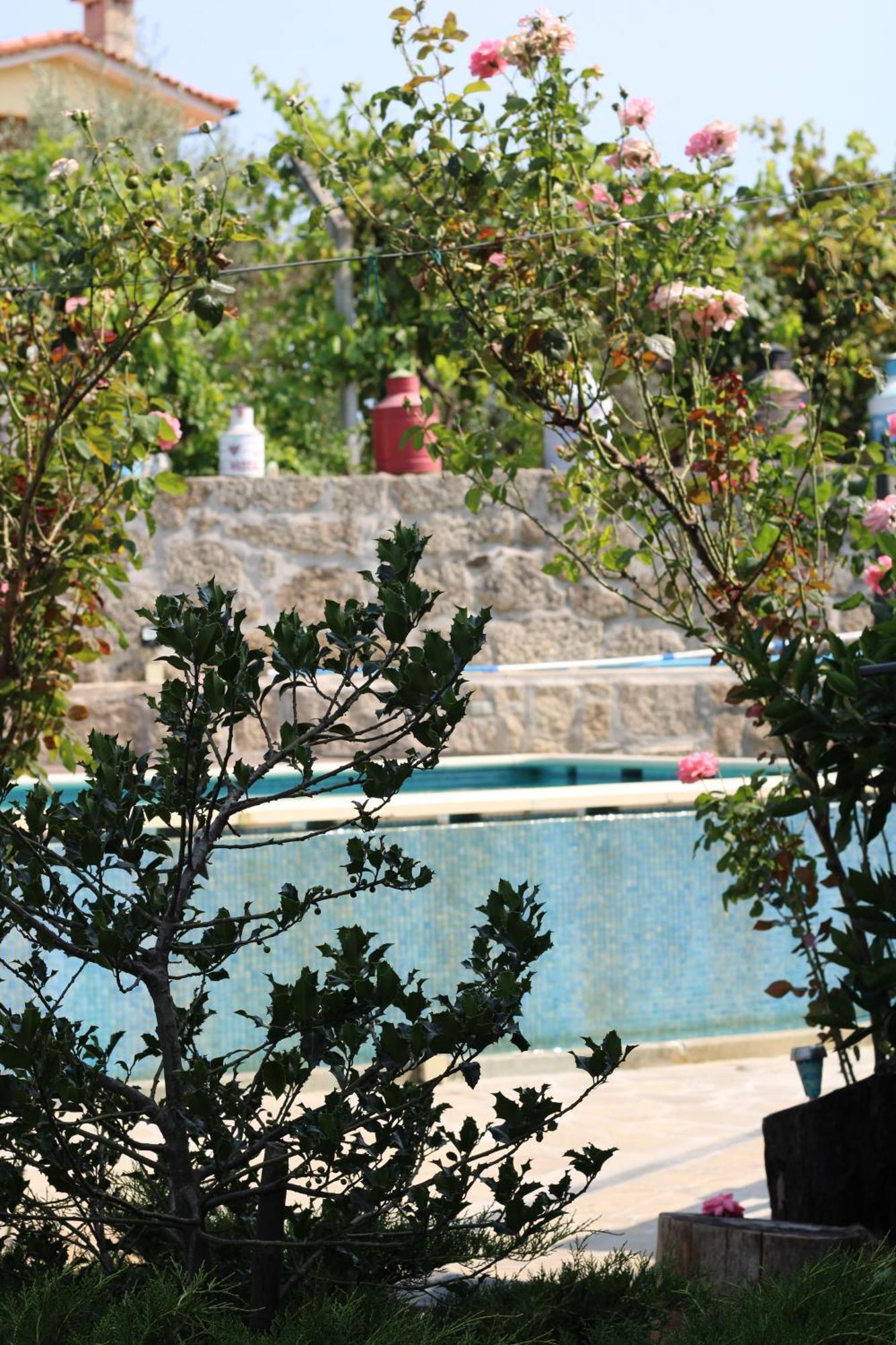 Casa Da Aldeia Da Avo Bed & Breakfast Valpacos Bagian luar foto