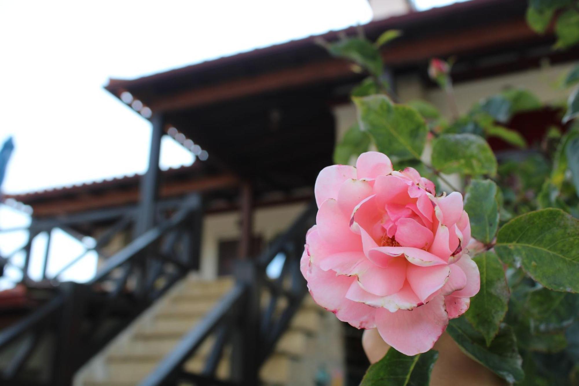 Casa Da Aldeia Da Avo Bed & Breakfast Valpacos Bagian luar foto
